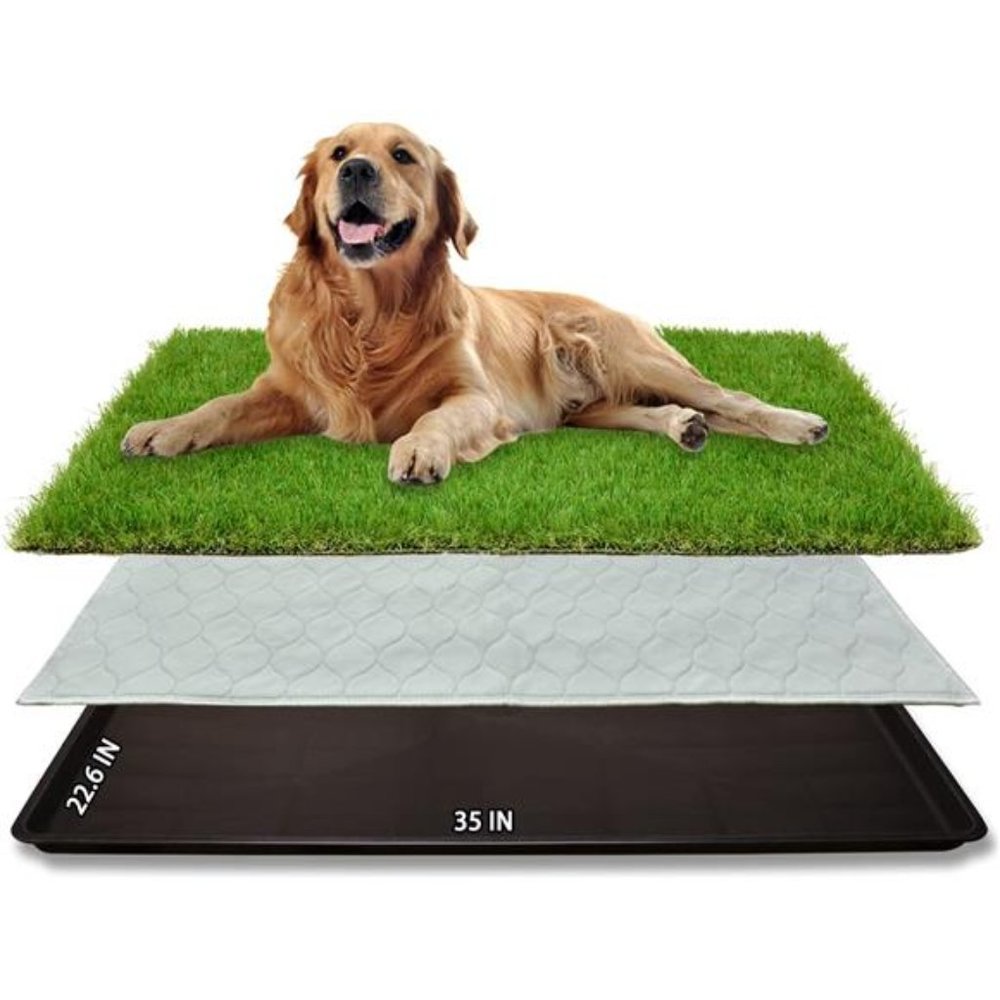Dog Grass Large Patch Potty, Artificial Dog Grass for Pet Training (35"X22.6")